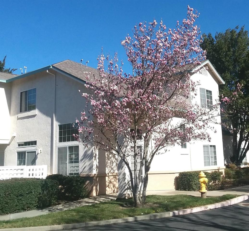 1131 Greene Terrace - Photo 1