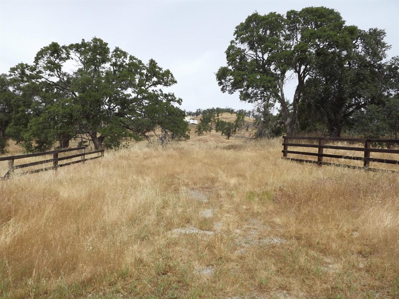 0-3T-802 Ladera Way - Photo 1