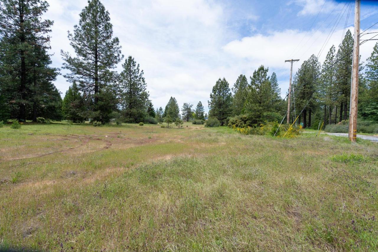3131 Sierra Blanca Drive - Photo 1