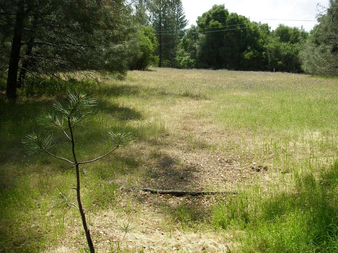 0 Sand Ridge Road - Photo 1
