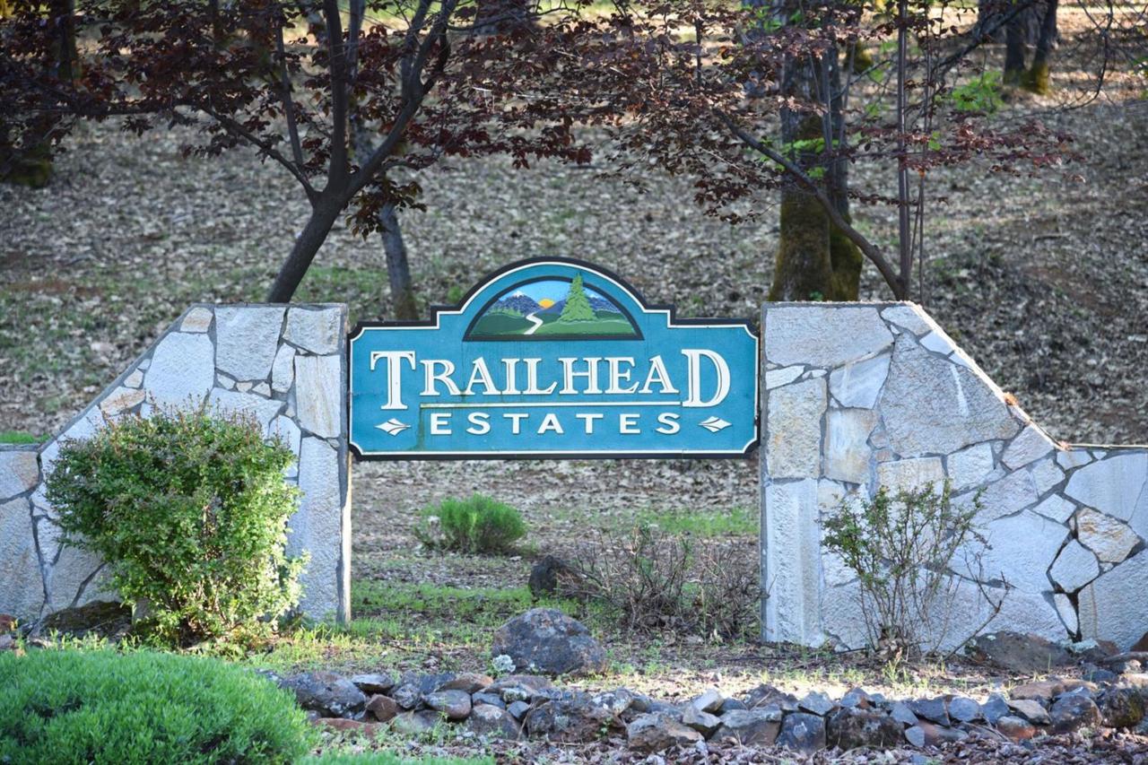 22003 Alton Trail - Photo 1