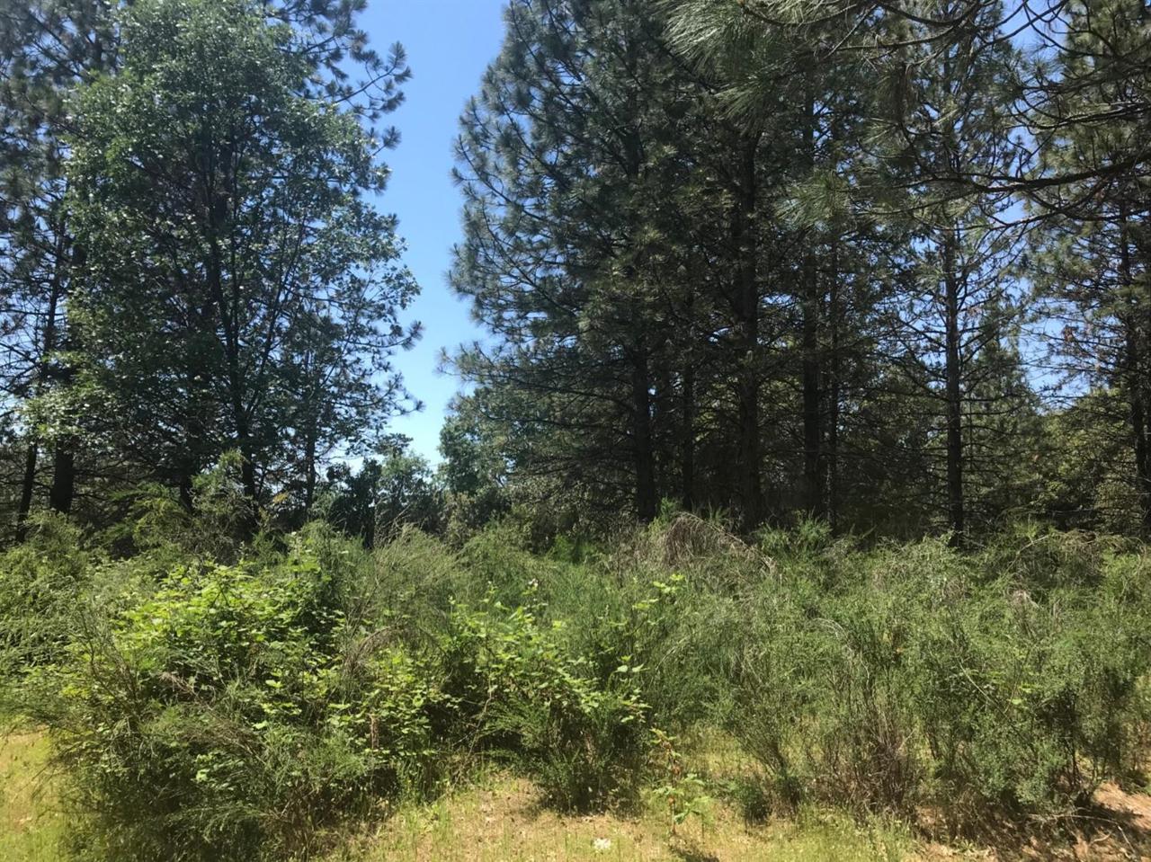 0 View Ridge Road - Photo 1