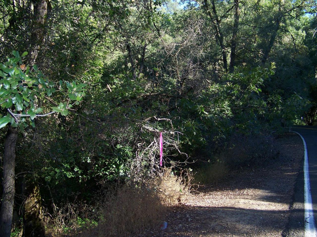 1-AC Forni Road - Photo 1