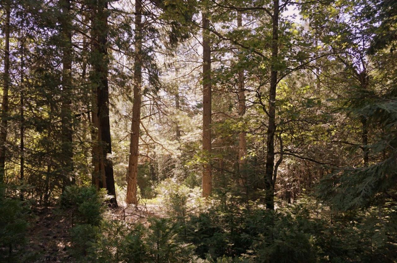 14071 Repose Lane - Photo 1