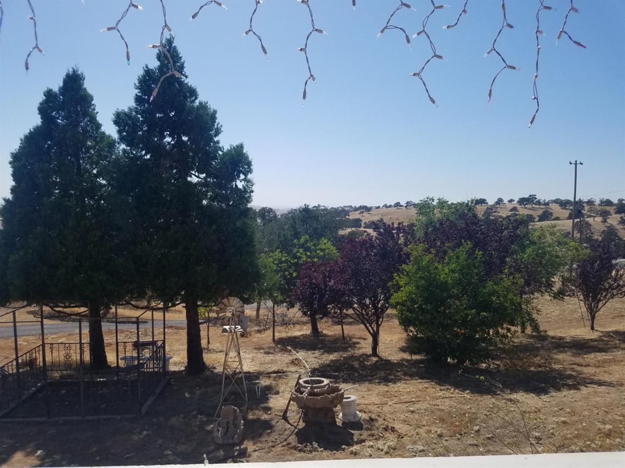 9930 Hernandez Drive - Photo 1