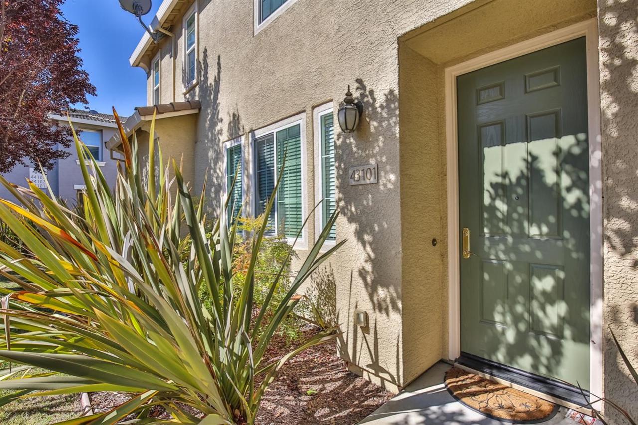 7515 Sheldon Road - Photo 1