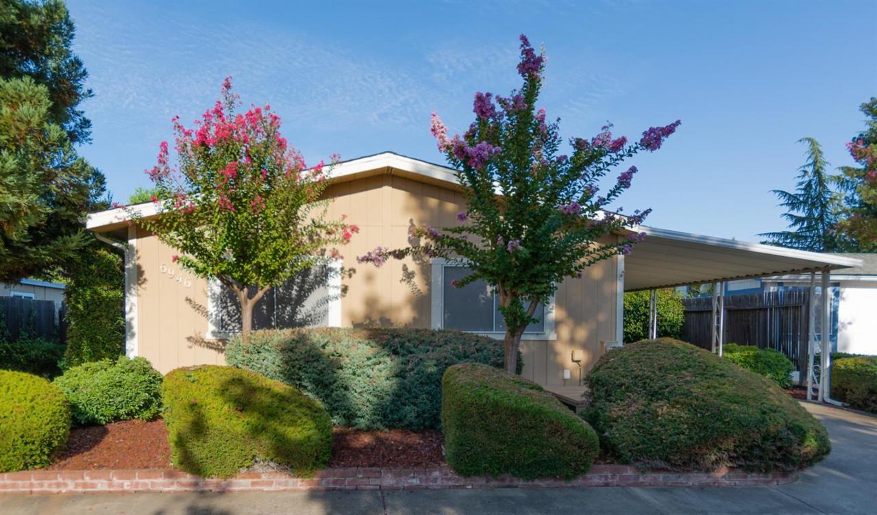 6946 Lake Tree Lane - Photo 1