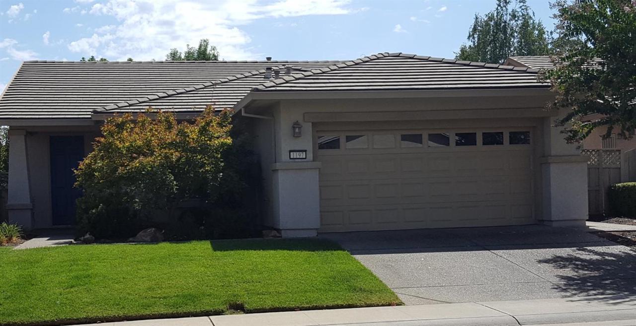 1197 Longhorn Lane - Photo 1