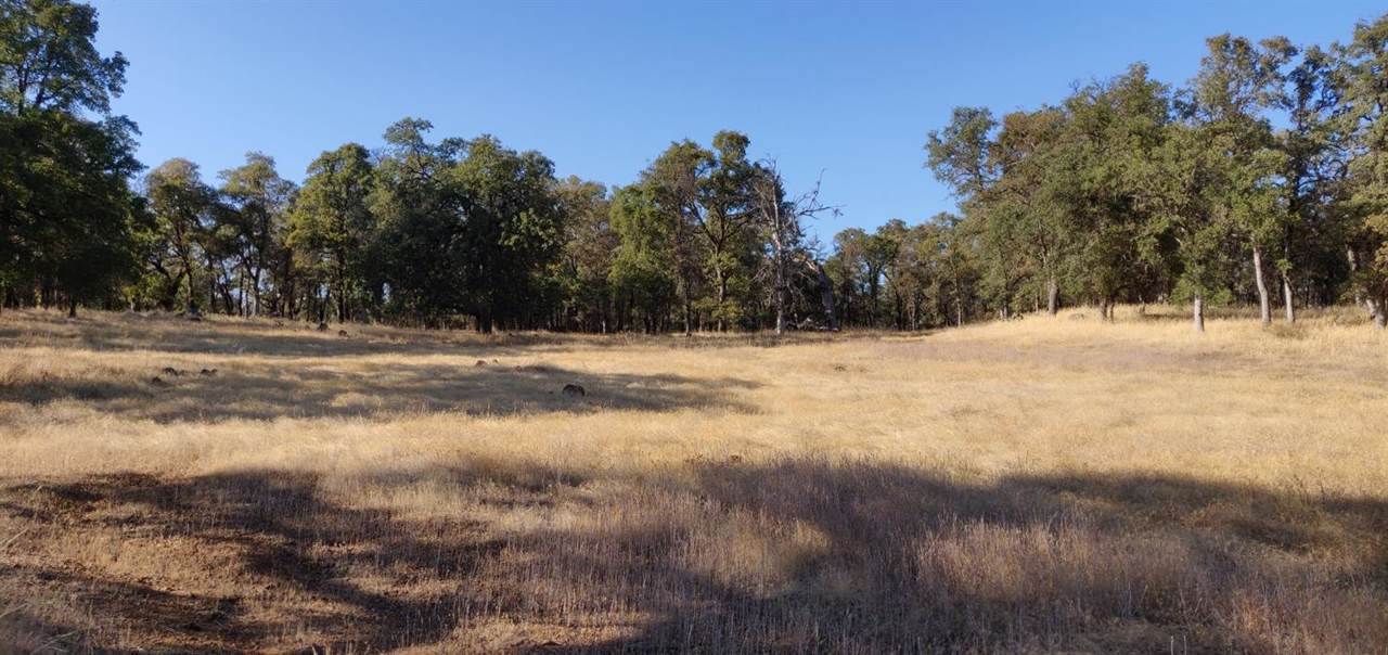 11001 Oak Mesa Drive - Photo 1