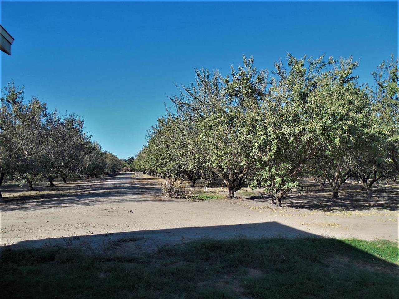 8637 Alderson Road - Photo 1