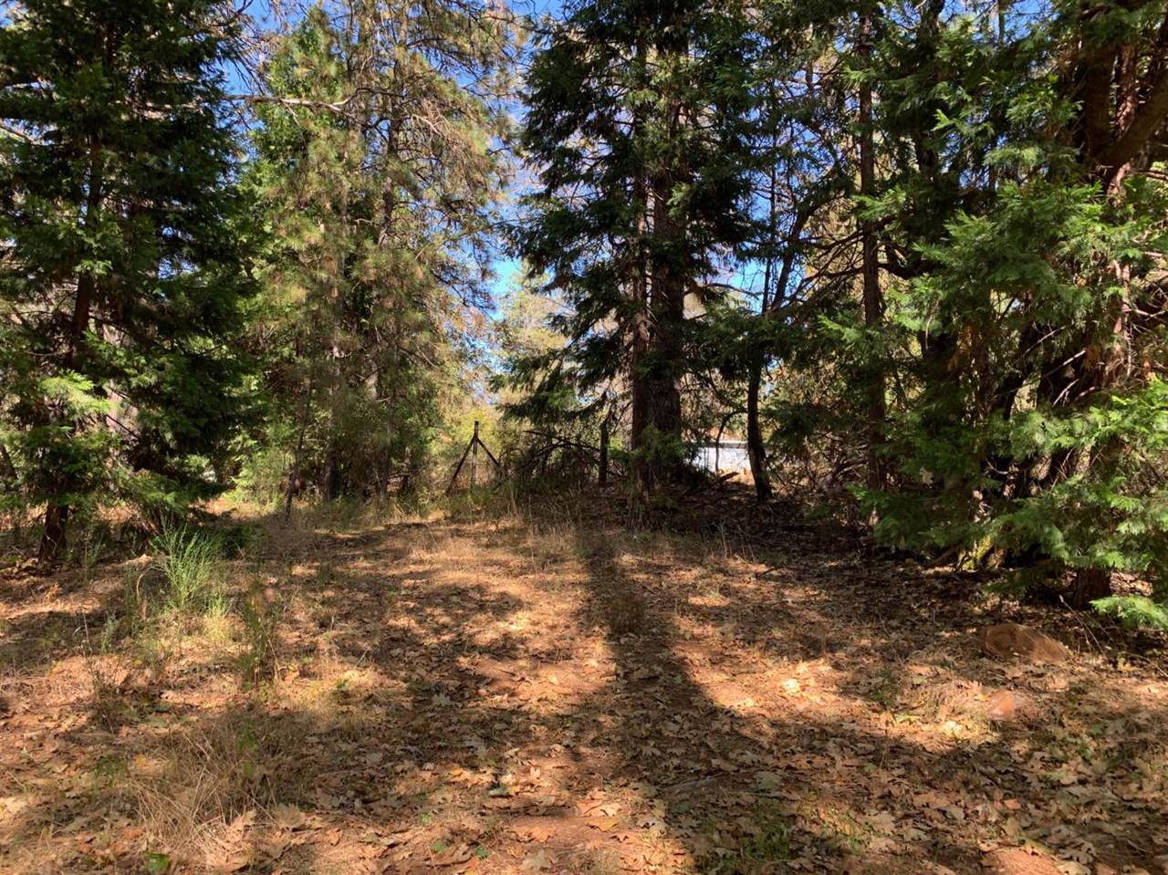 10982 Rough And Ready Highway - Photo 1