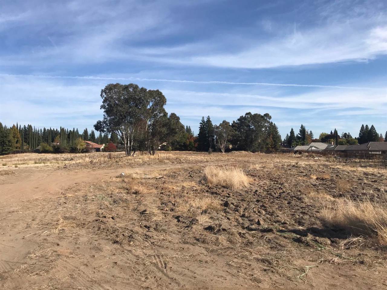 6840 Santa Juanita Avenue - Photo 1