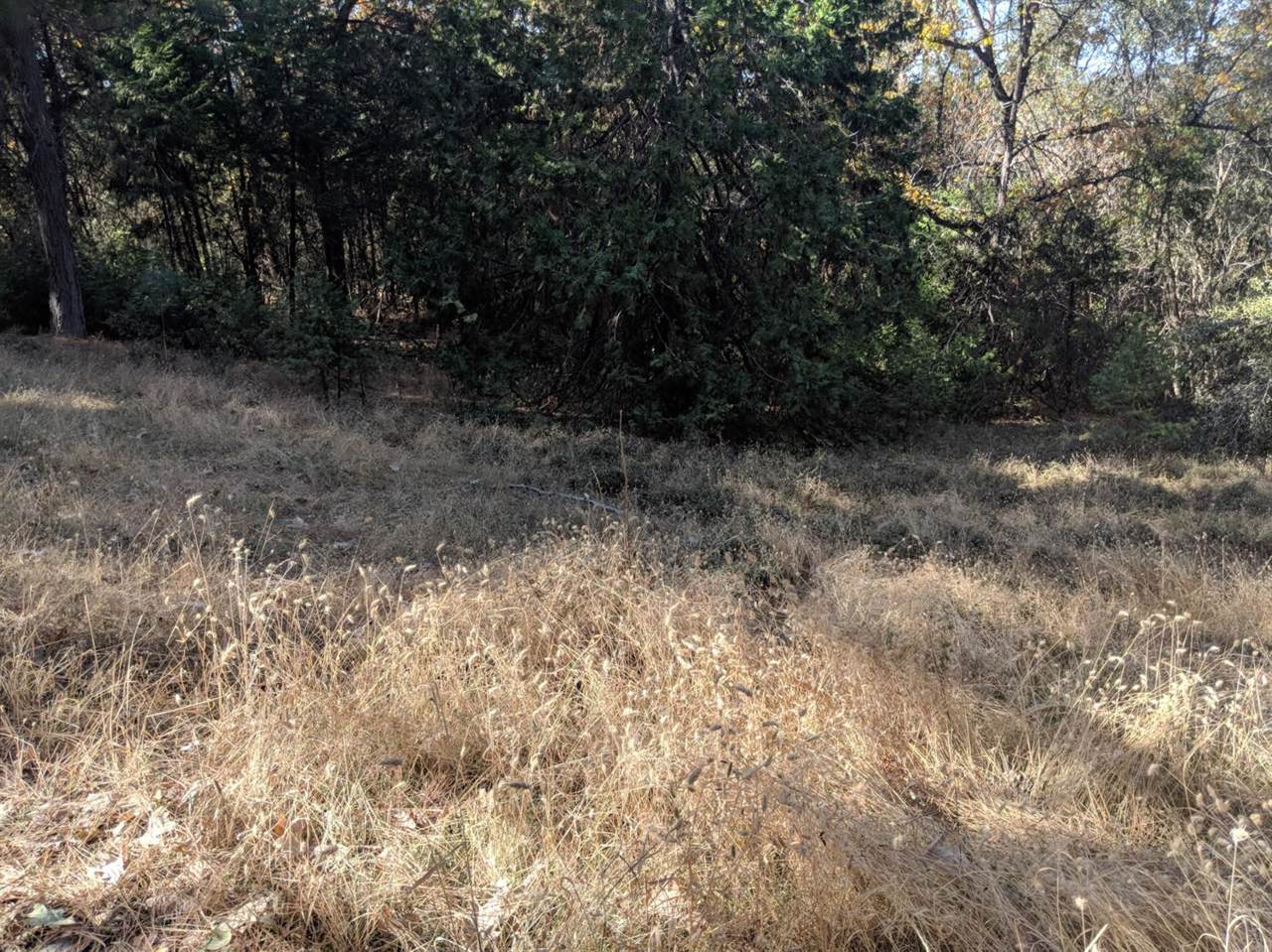 6161 Grizzly Flat - Photo 1 6161 Grizzly Flat - Photo 1