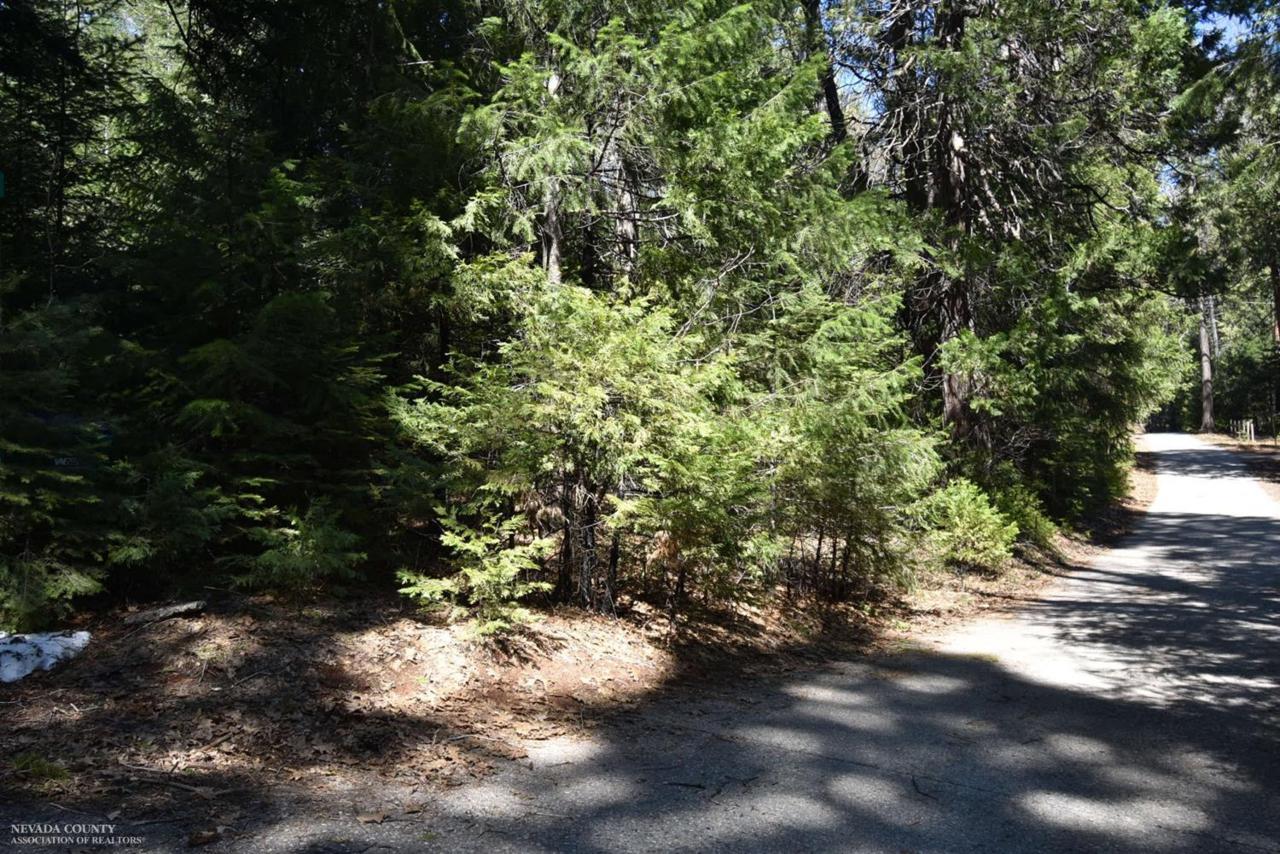 14236 Banner Mtn Lookout Road - Photo 1