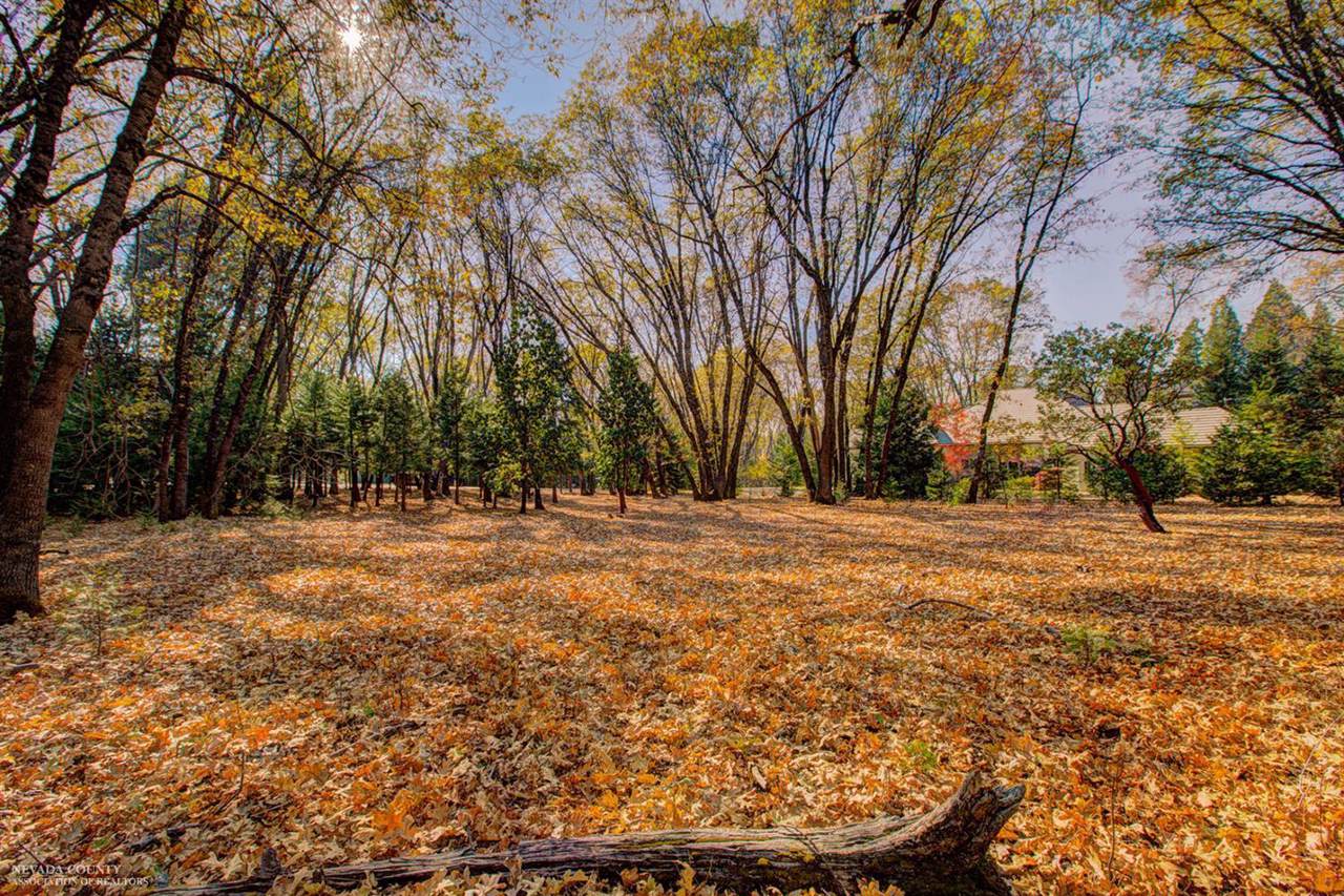 13028 Somerset Drive - Photo 1