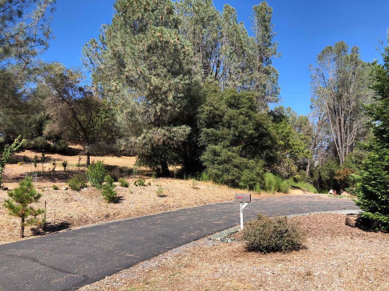 0 Applegate School Road - Photo 1