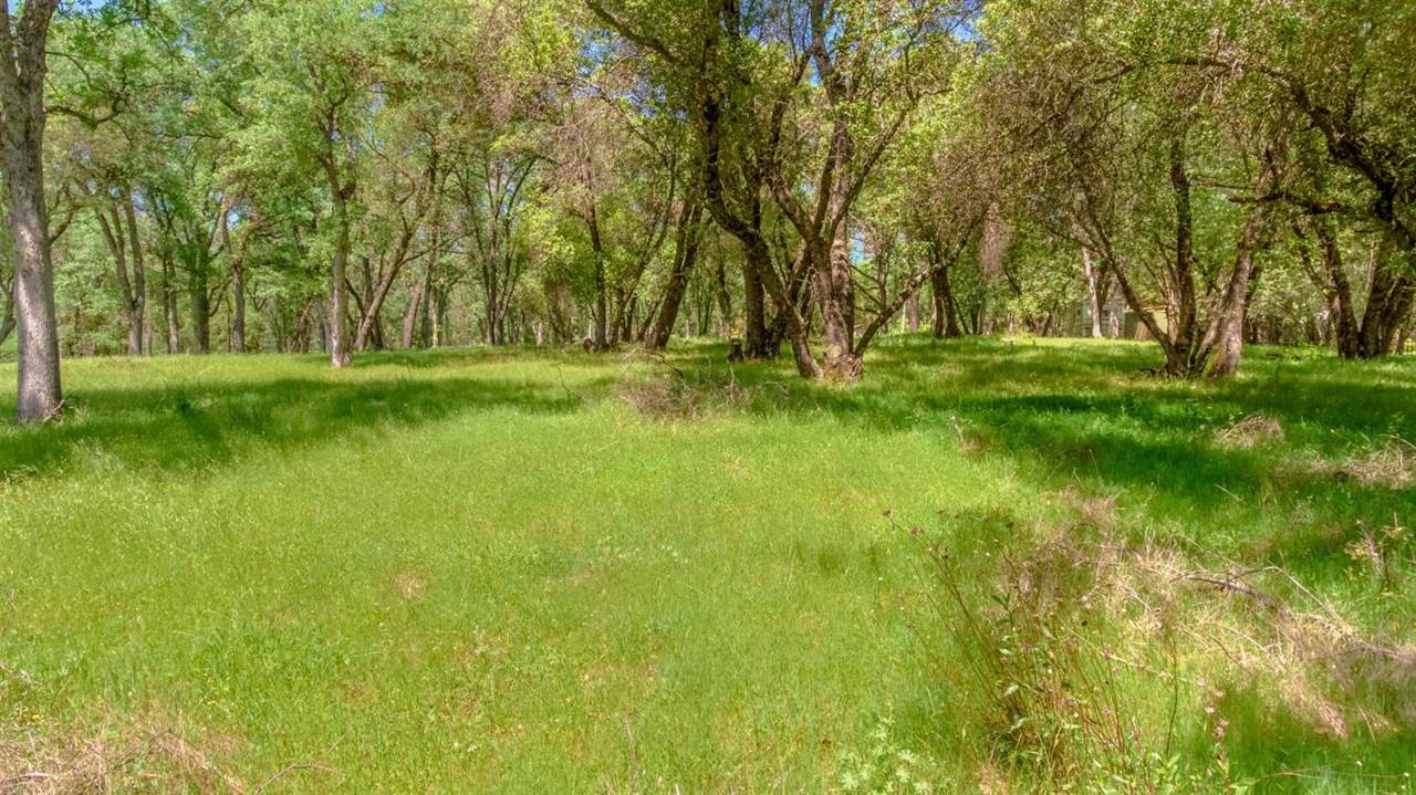 5909 Cerrito Road - Photo 1