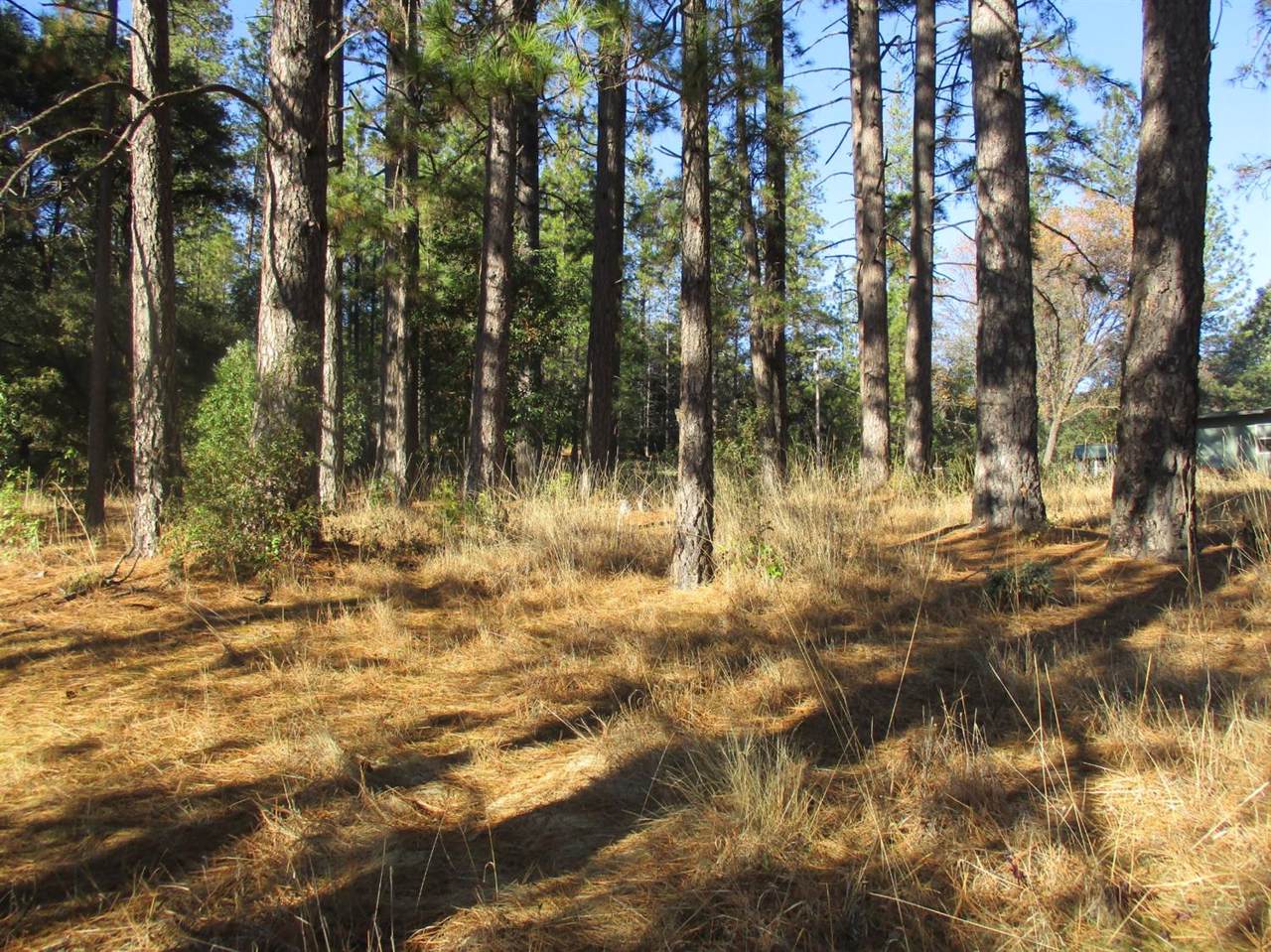 19297 Ridge Road - Photo 1