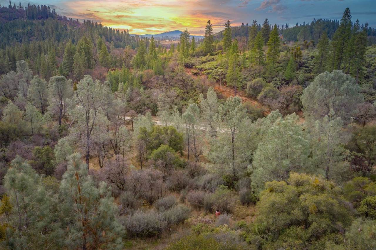 14077 Rudd Road - Photo 1