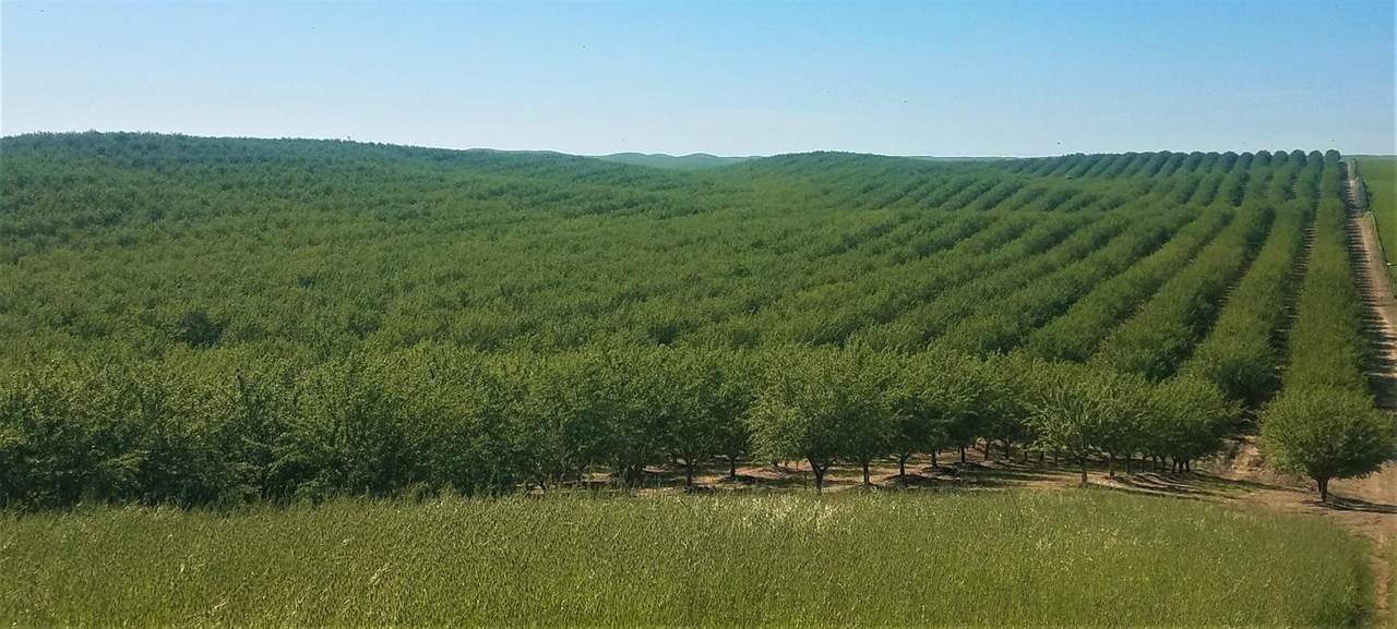0 Road 90 - Photo 1