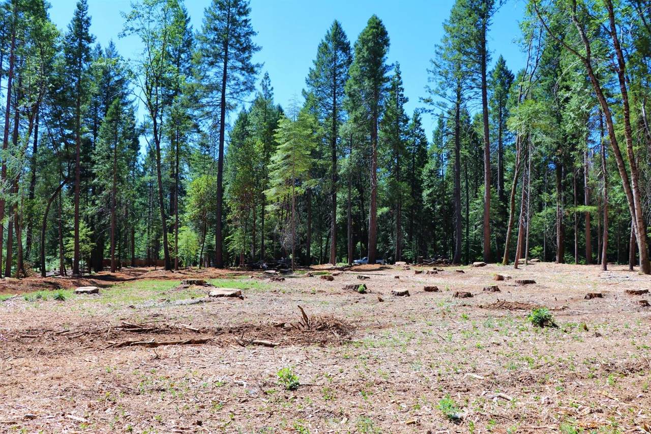 0 Ebberts Ranch Road - Photo 1