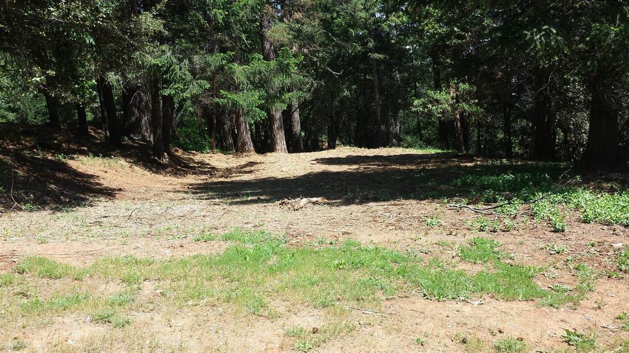 15 Mosquito Ridge Road - Photo 1