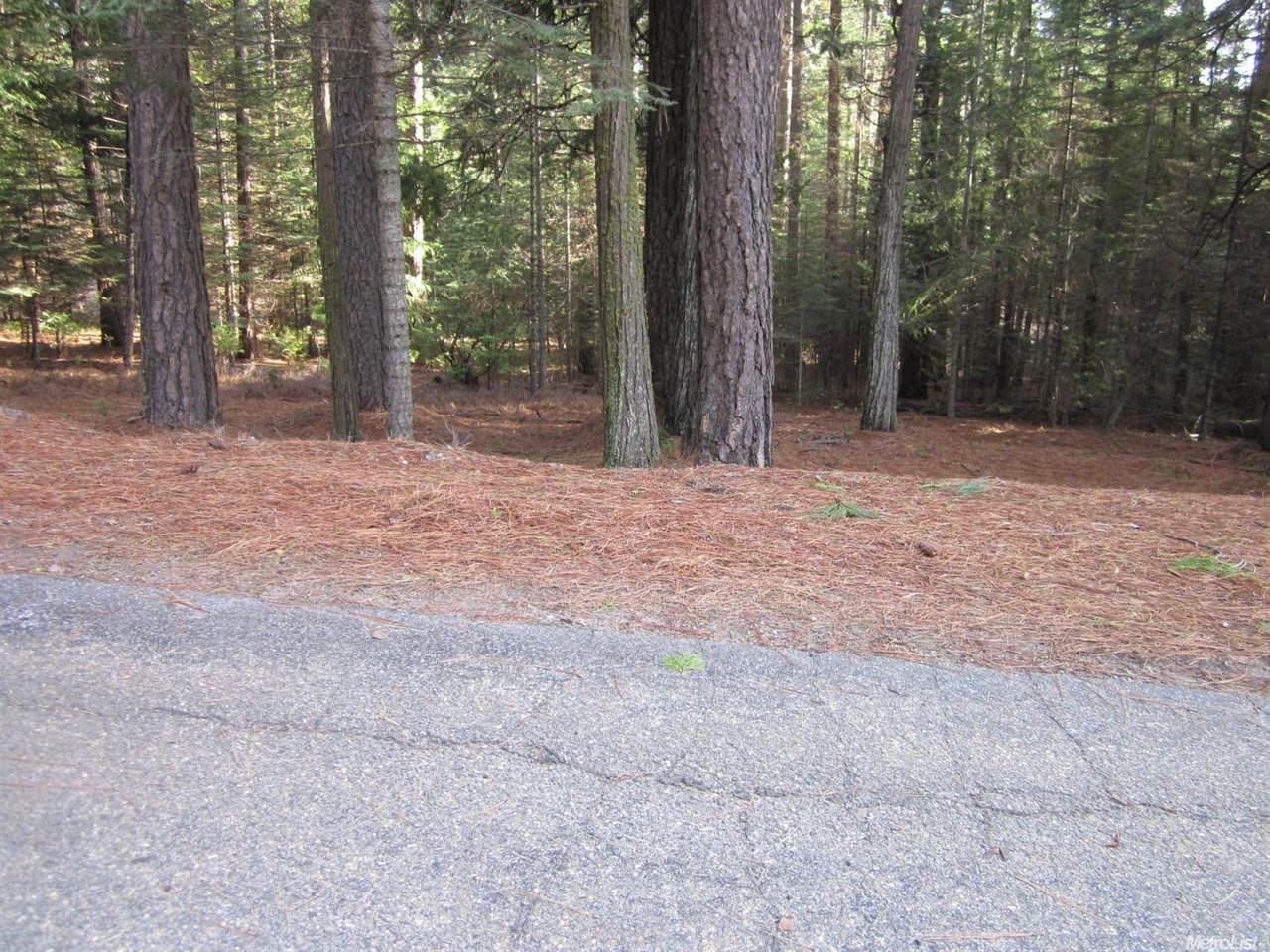 4519 String Canyon Road - Photo 1
