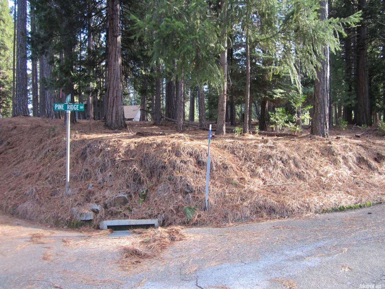 5476 Pine Ridge Drive - Photo 1
