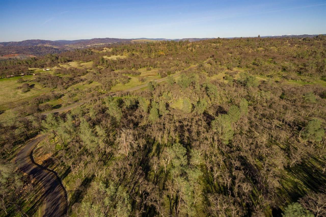 0 Hammonton Bluff Parcel 9 - Photo 1