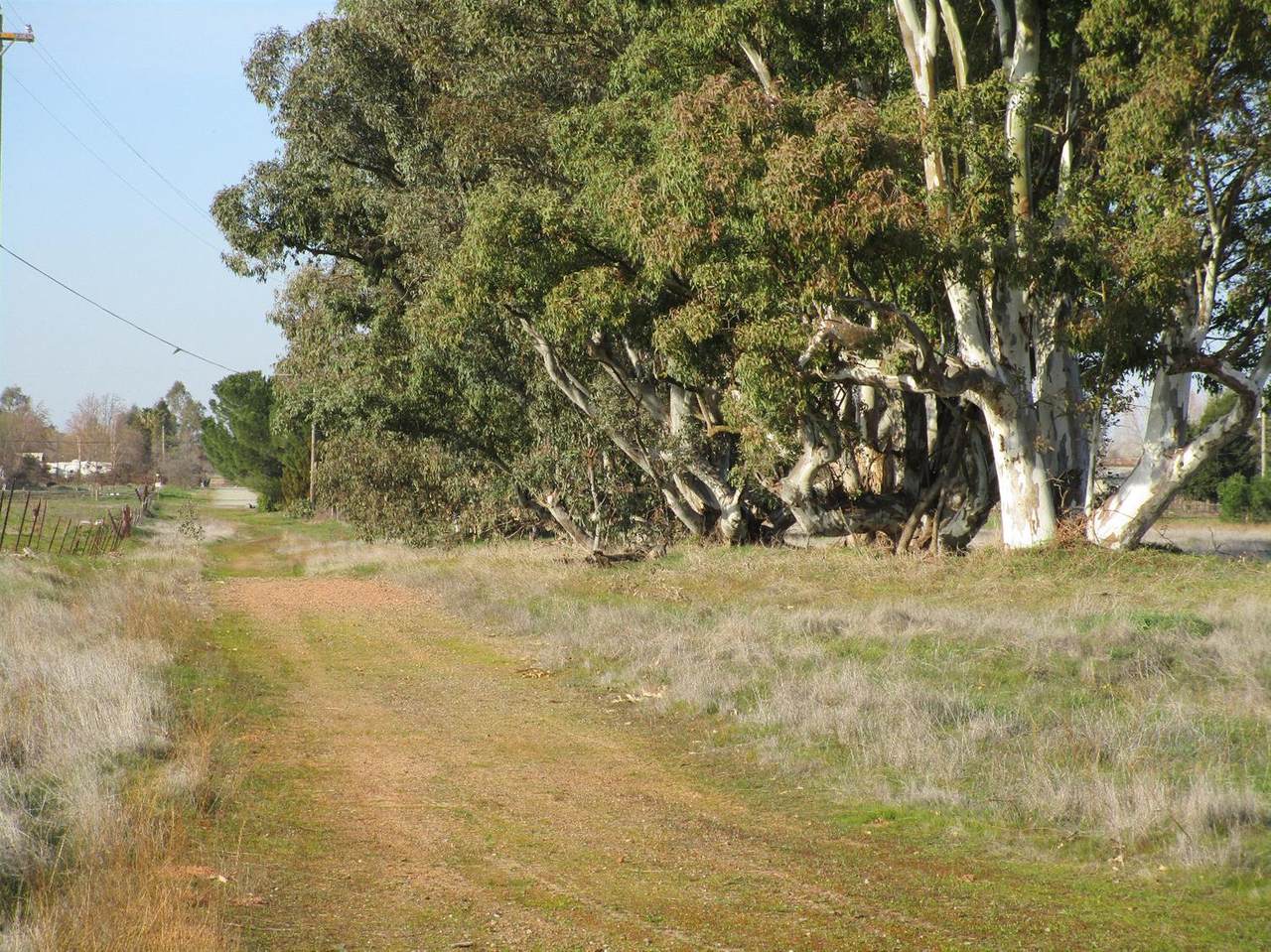 0 Alta Mesa East Road - Photo 1