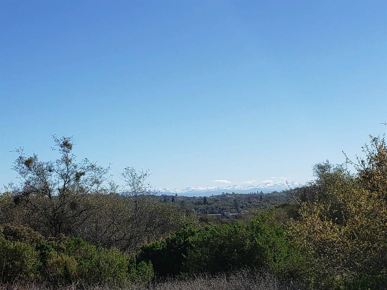5-Acres Wilkinson Road - Photo 1