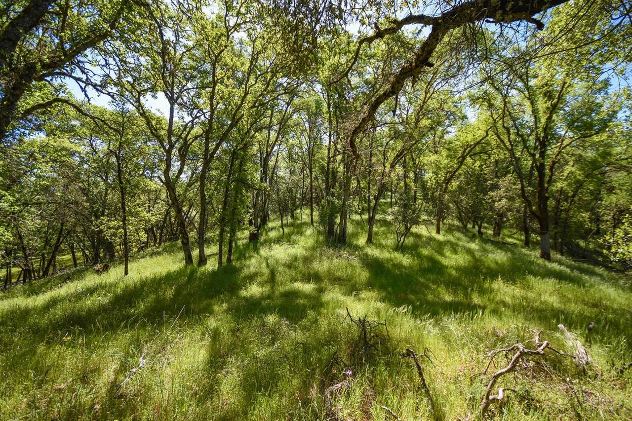 4-Lot Old Rock Bridge - Photo 1