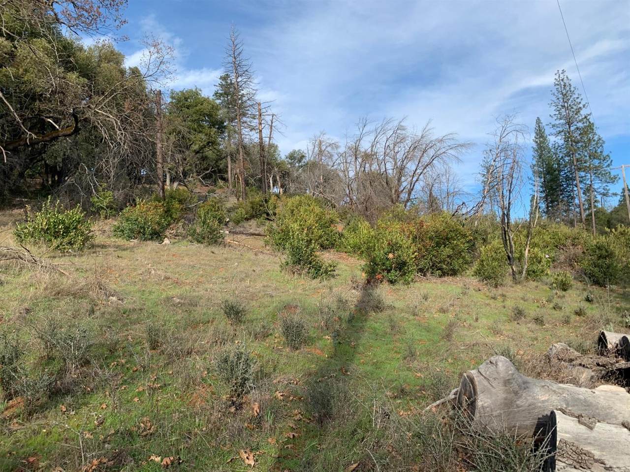 16485 Jesus Maria Road - Photo 1