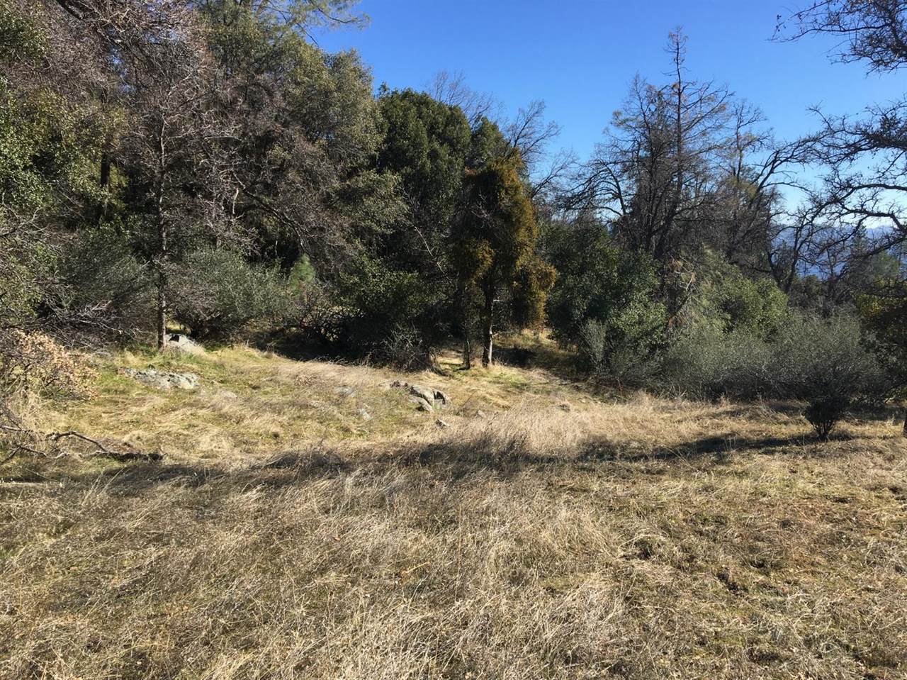 0 Pennsylvania Gulch Road - Photo 1