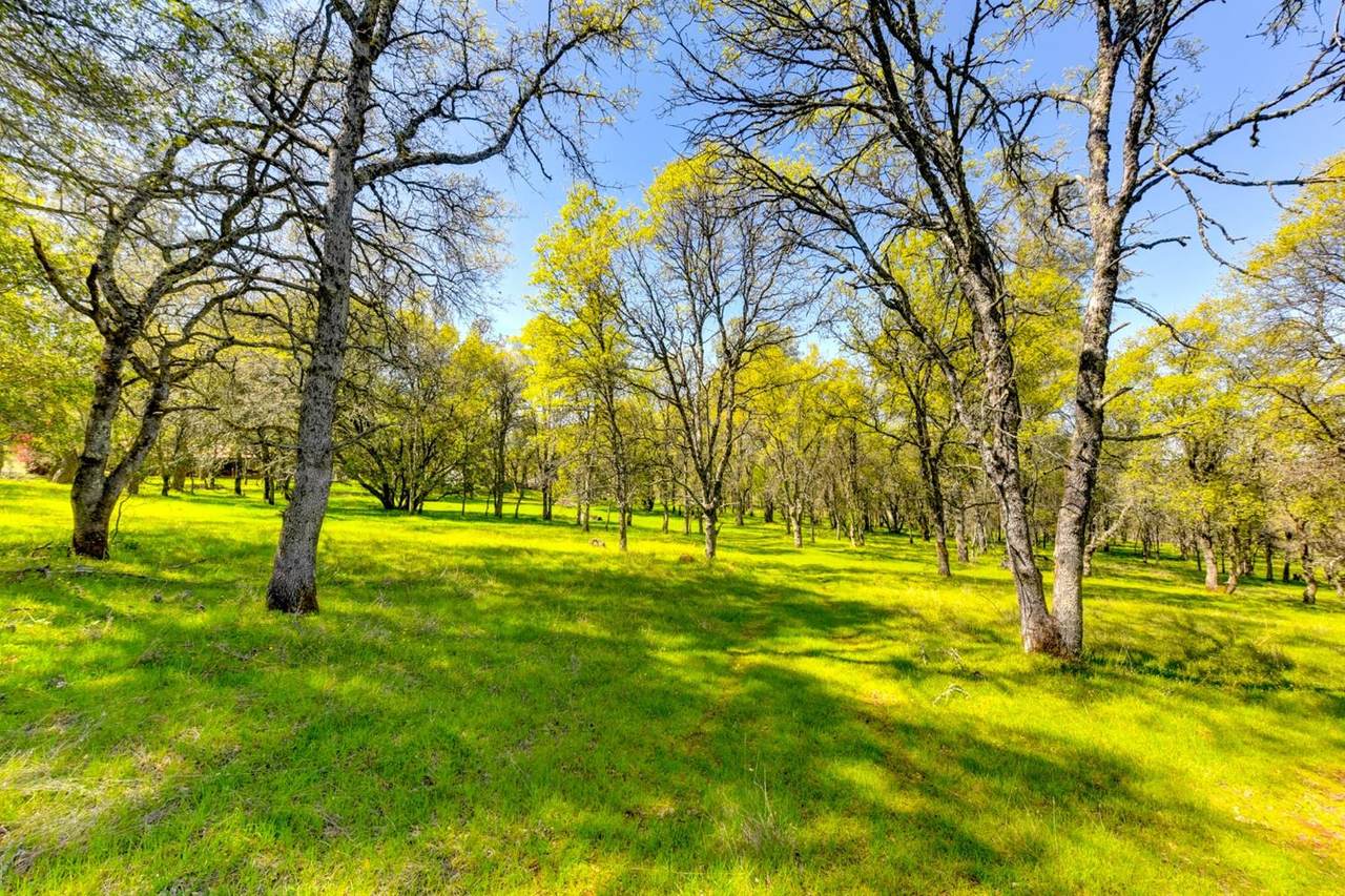 0 Salmon Falls Road - Photo 1