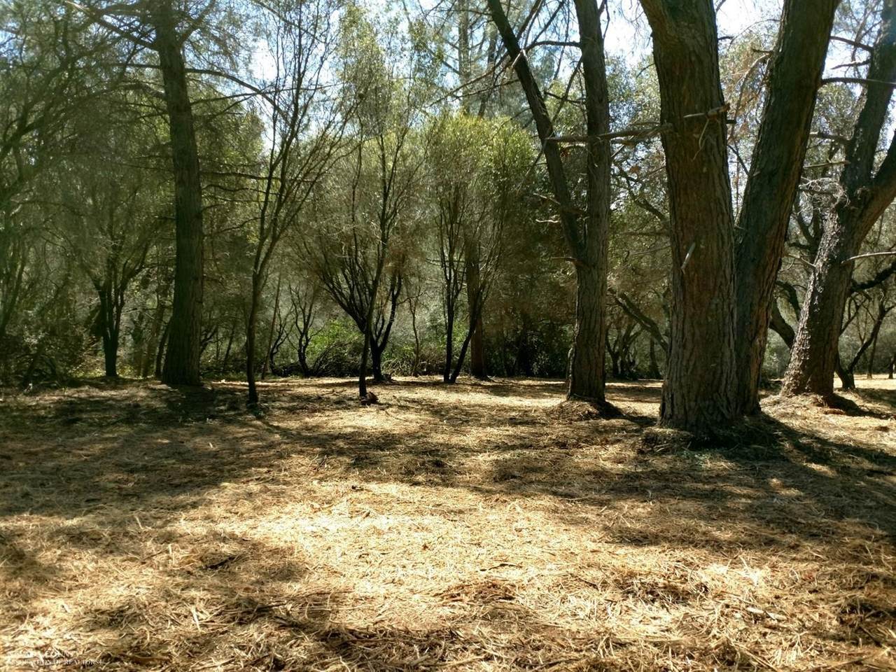 11130 Ponderosa Way - Photo 1
