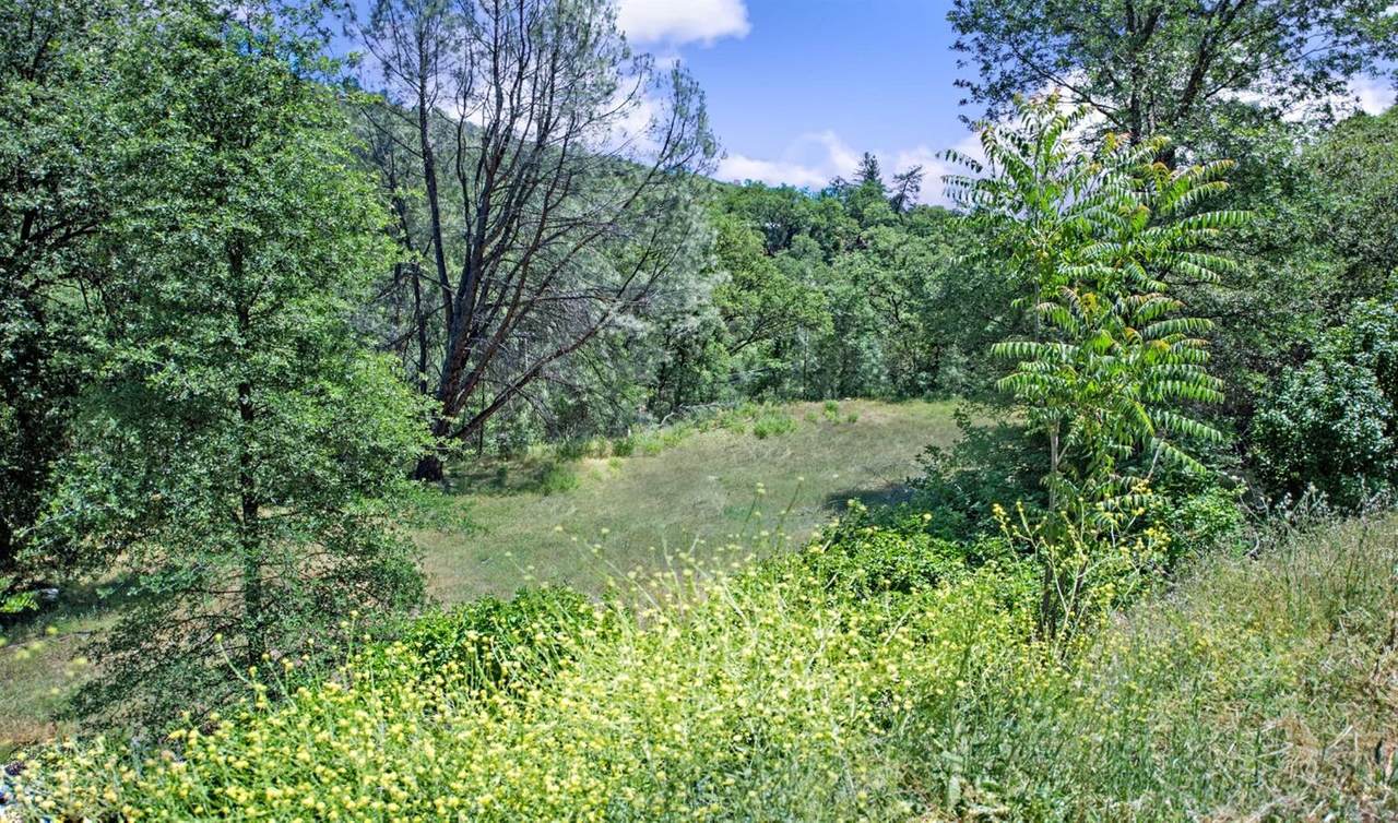 20665 Highway 49 - Photo 1