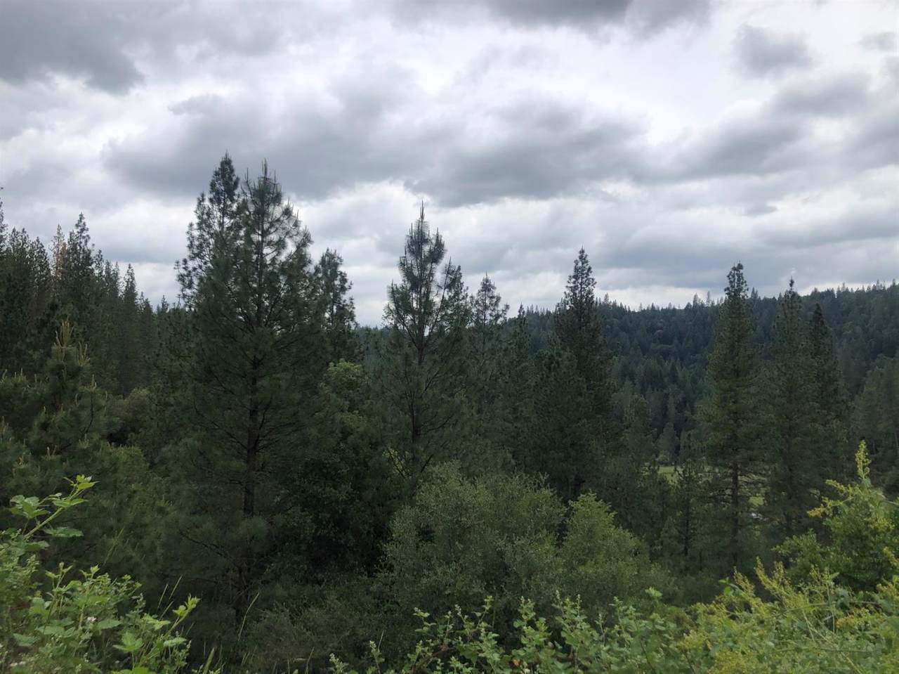 2370 Railroad Flat Rd - Photo 1