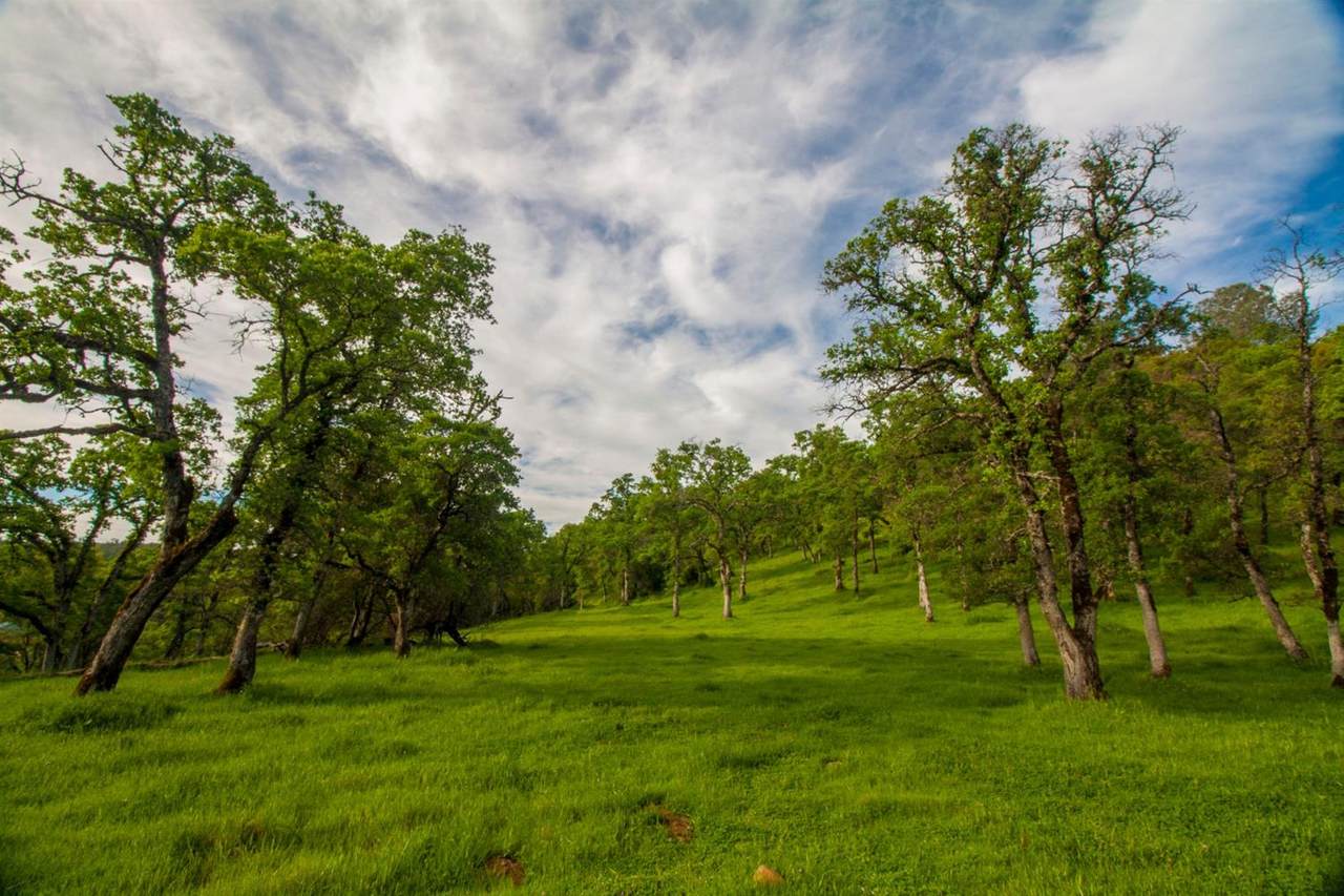 6-Ranch Dutch Flat Trail - Photo 1