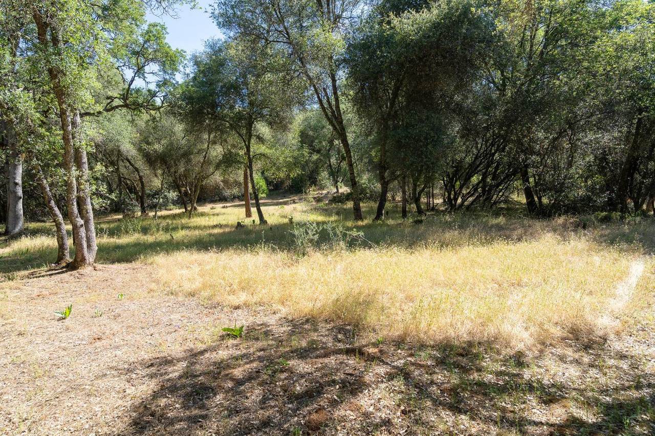 0 5 Acres Quail Run Road - Photo 1