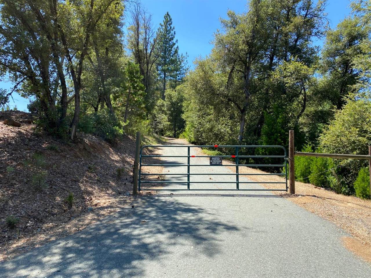 0 Petersen Ranch Drive - Photo 1