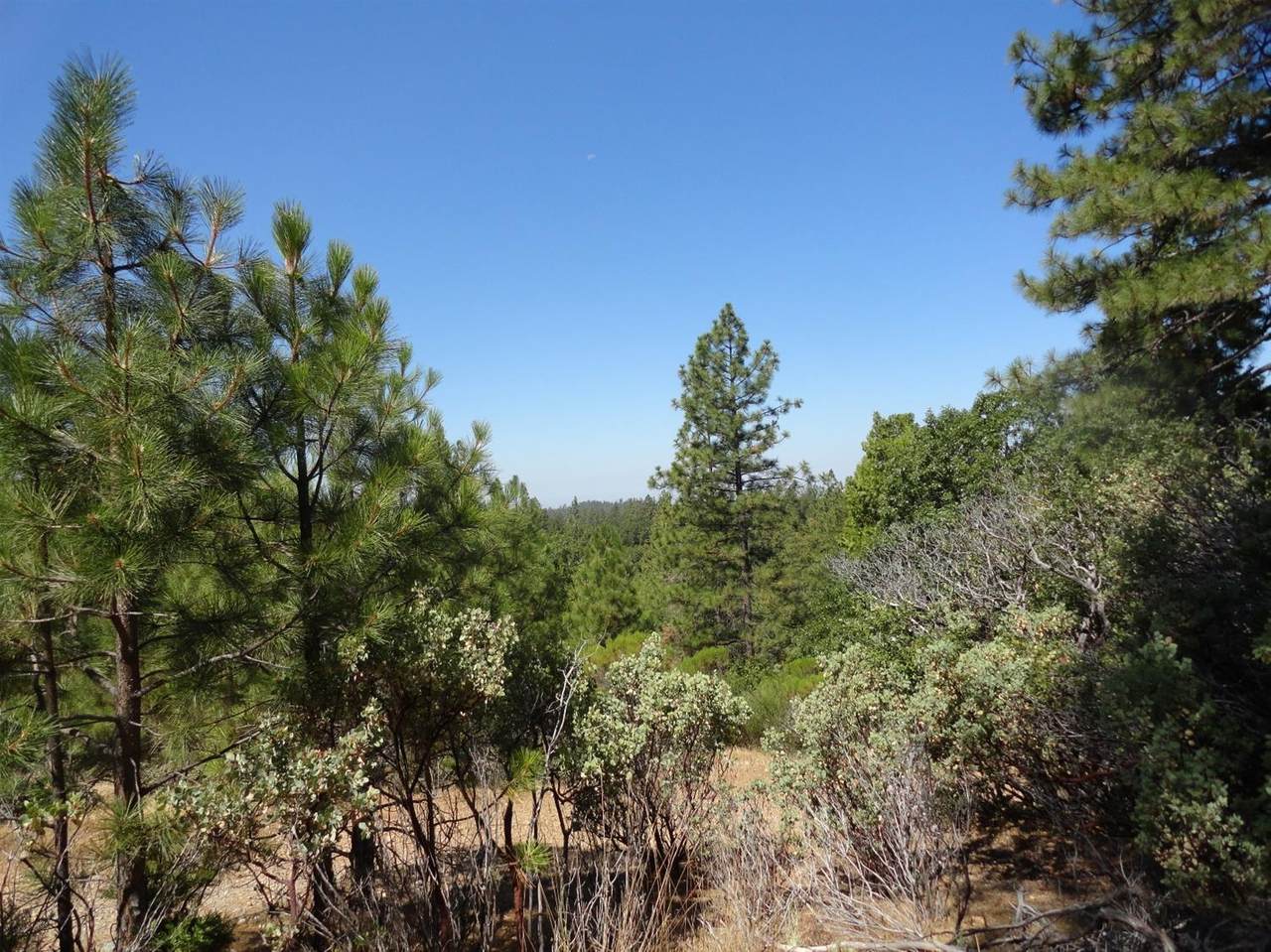 13851 Tank Court - Photo 1