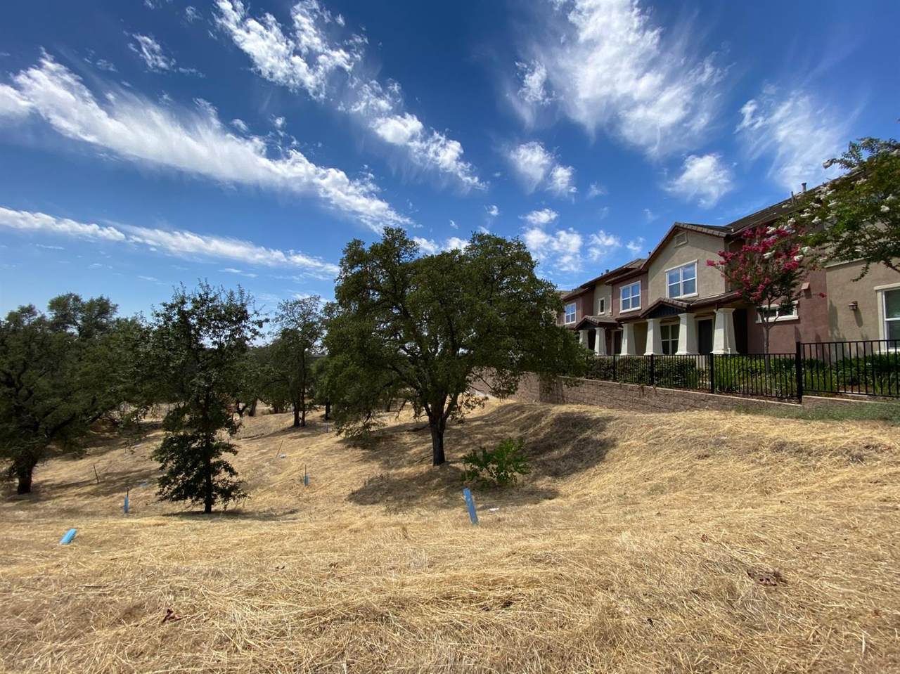 207 Blossom Rock Lane - Photo 1