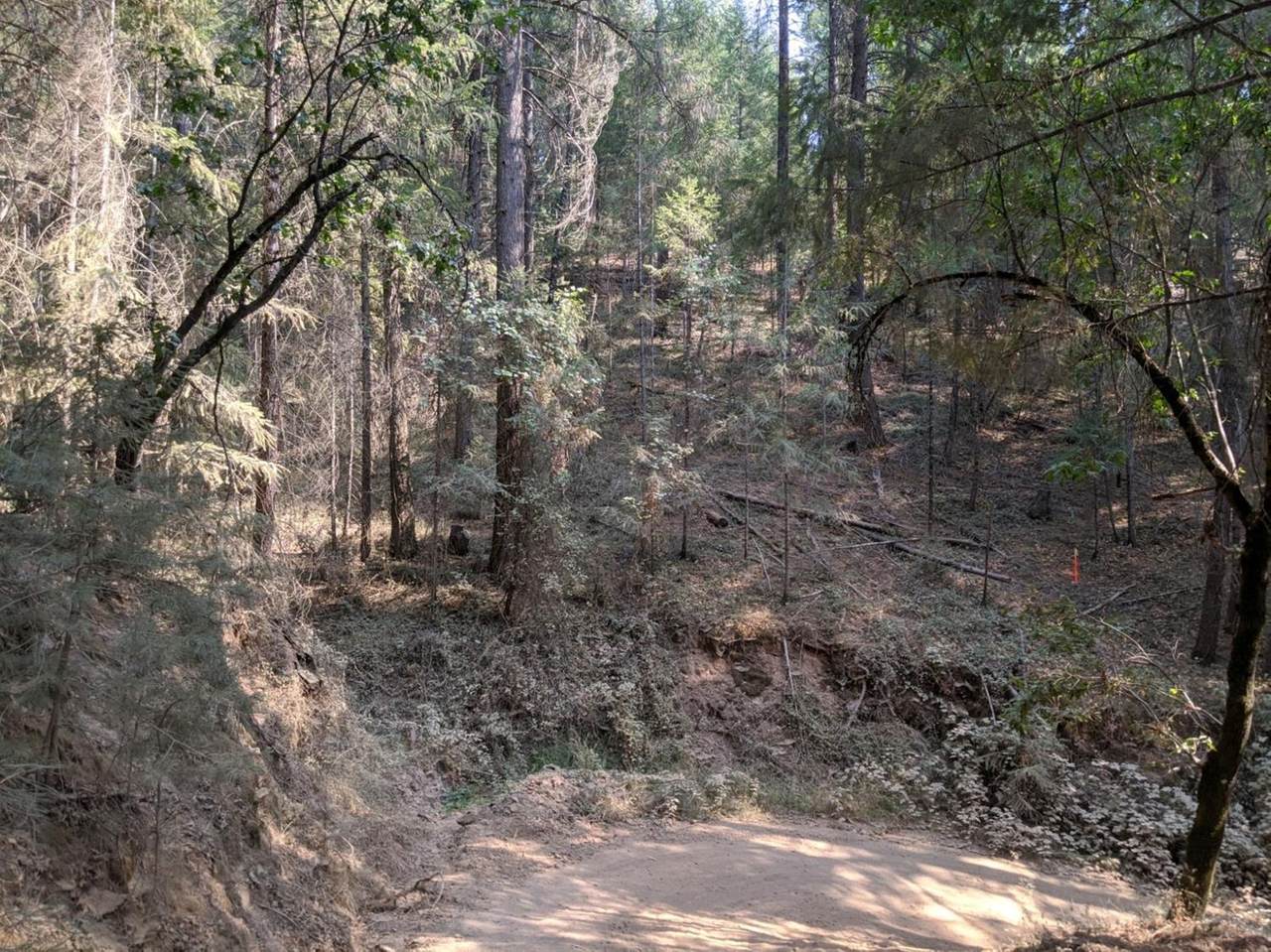 14485 Arrowhead Mine Road - Photo 1