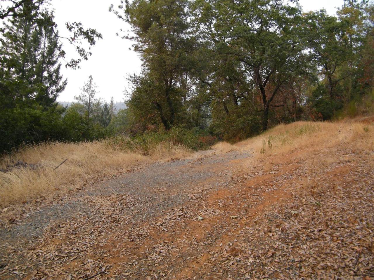 5115 Jilltree Lane - Photo 1