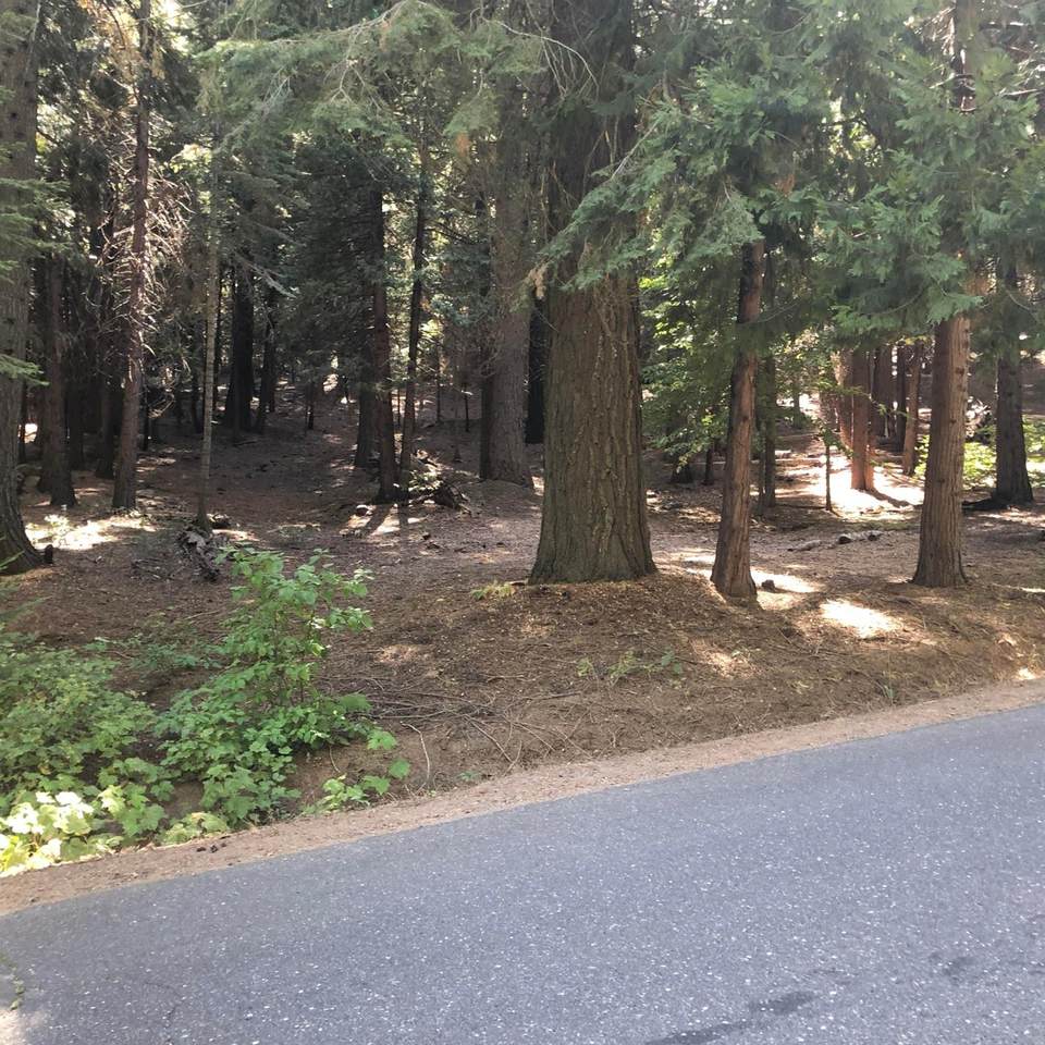 2826 Shoshone Drive - Photo 1