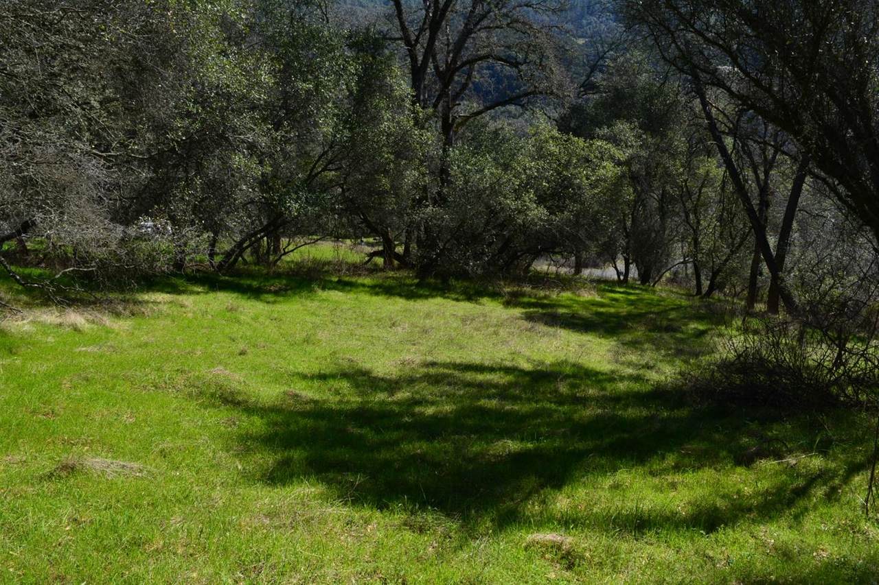 0 Hwy 49 - Photo 1