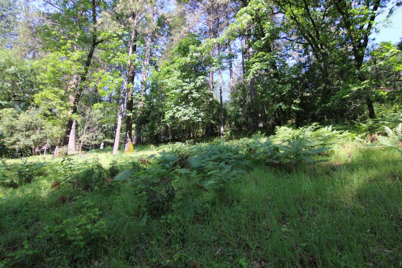 14882 Stinson Drive - Photo 1