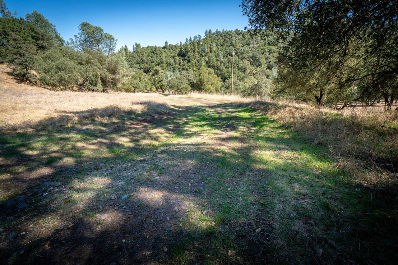 93-acres Highway 49 - Photo 1