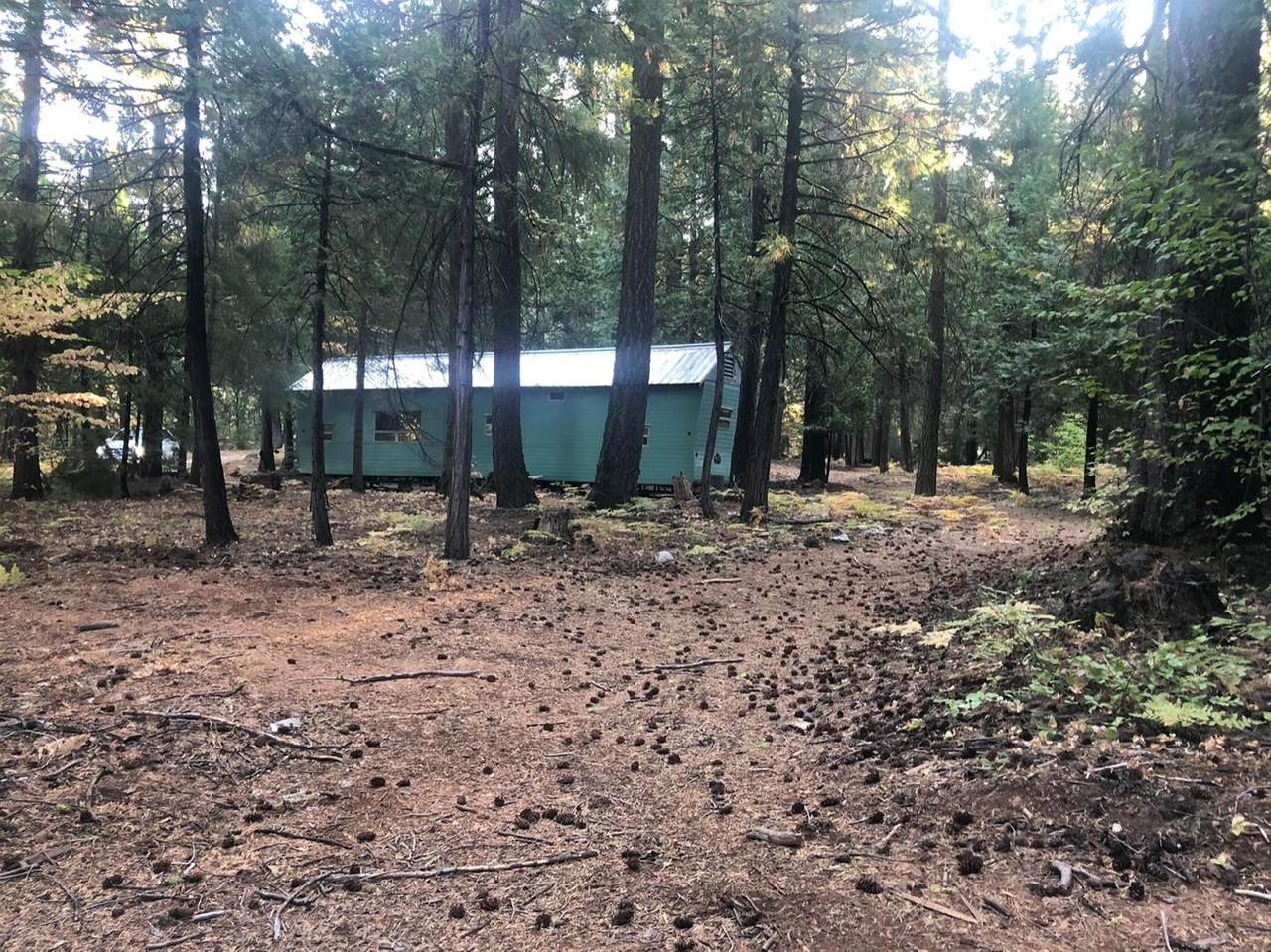 2157 Backwoods Trail - Photo 1